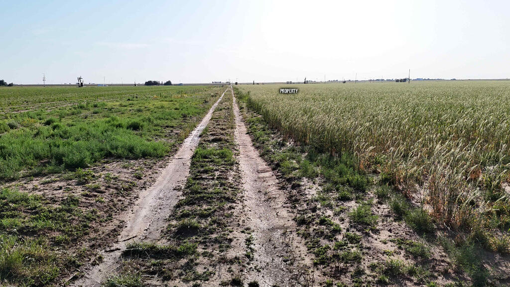 1443 County Road 145 Post, TX 79356 - Photo 14 of 22 a view of a field with an ocean view
