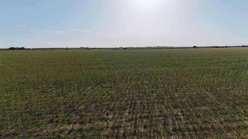 1443 County Road 145 Post, TX 79356 - Photo 20 of 22 a view of an ocean