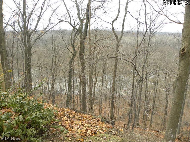 3026 River Road Perry, OH 44081 - Photo 21 of 22