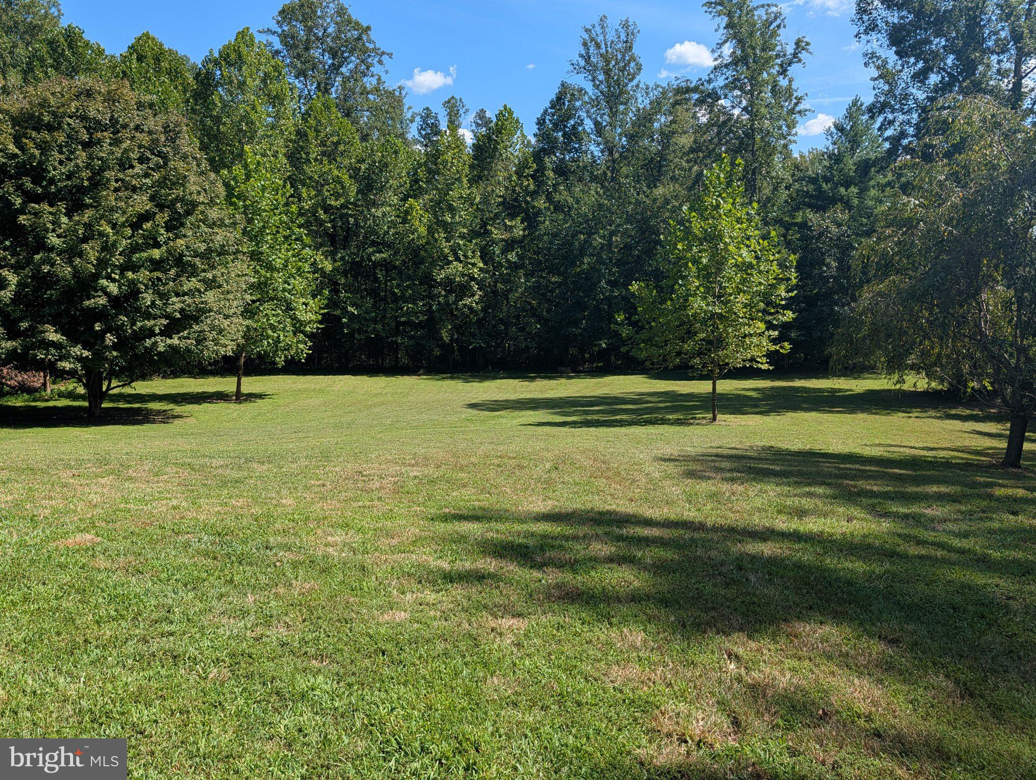 23 Harry Settle Road Castleton, VA 22716 - Photo 4 of 21 Back Yard