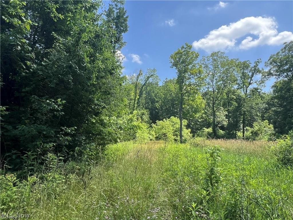 21251 Pitts Road Wellington, OH 44090 - Photo 13 of 14 View of tree filled area