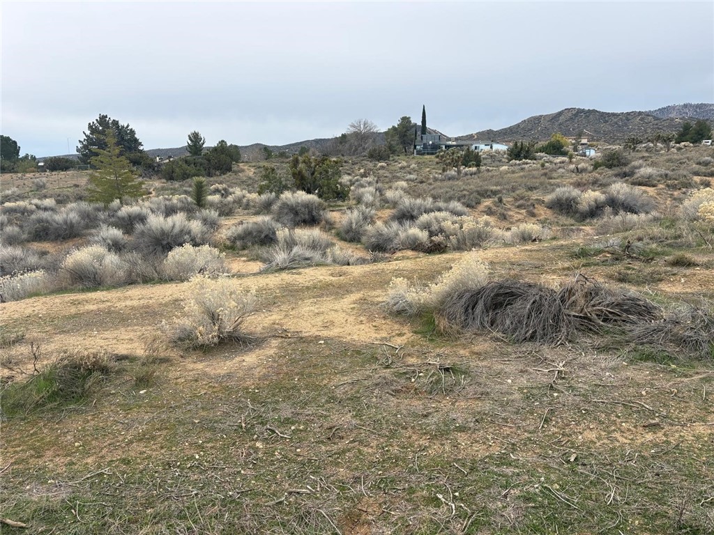 0 Gobi Road Phelan, CA 92371 - Photo 1 of 6 a view of a dry yard with mountains in the background