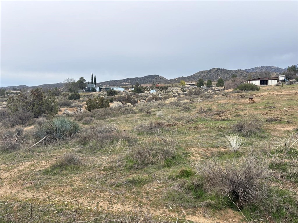 0 Gobi Road Phelan, CA 92371 - Photo 4 of 6 a view of mountain