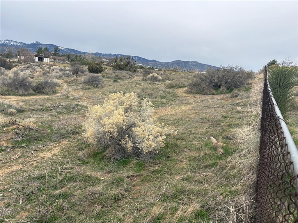 0 Gobi Road Phelan, CA 92371 - Photo 5 of 6 a view of a dry yard with mountains in the background