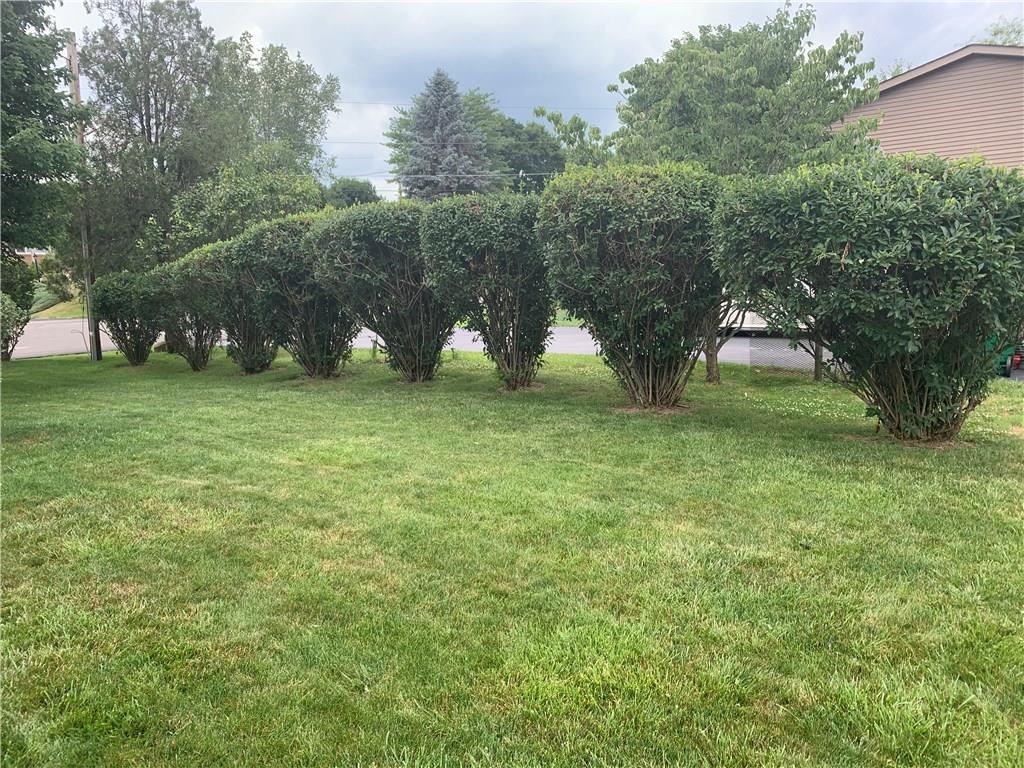 119 Easy Street Butler, PA 16001 - Photo 7 of 21 Gallery Image 7