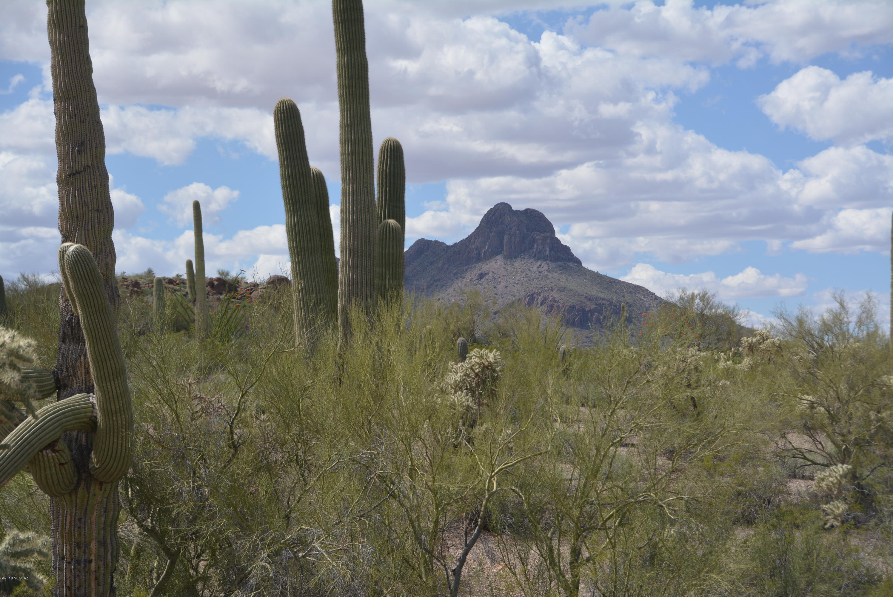 6801 North Wade Road Tucson, AZ 85743 - Photo 8 of 33 Gallery Image 8