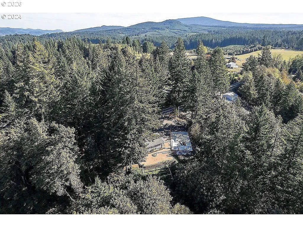 42912 East Larch Mountain Road Corbett, OR 97019 - Photo 3 of 25
