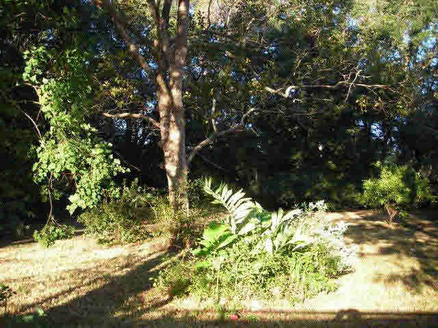208 East Berry Avenue Foley, AL 36535 - Photo 9 of 17