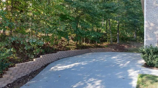 a view of a forest with trees in the background