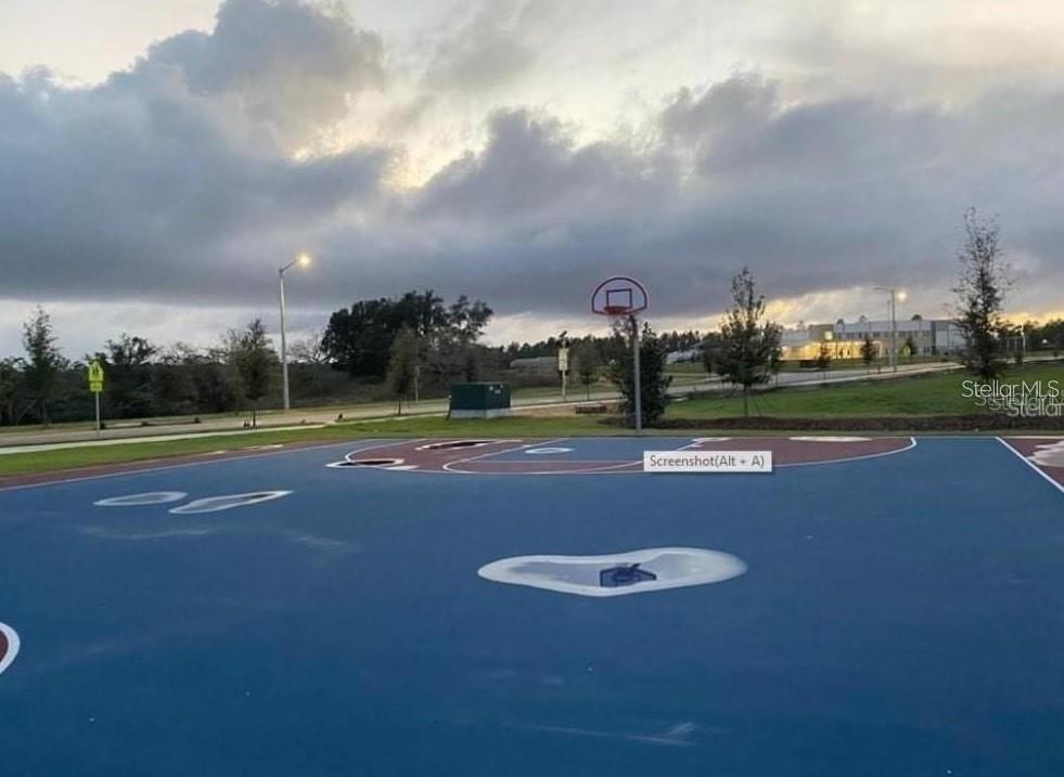 15187 Chapter Way Winter Garden, FL 34787 - Photo 16 of 17 a view of a playground and yard