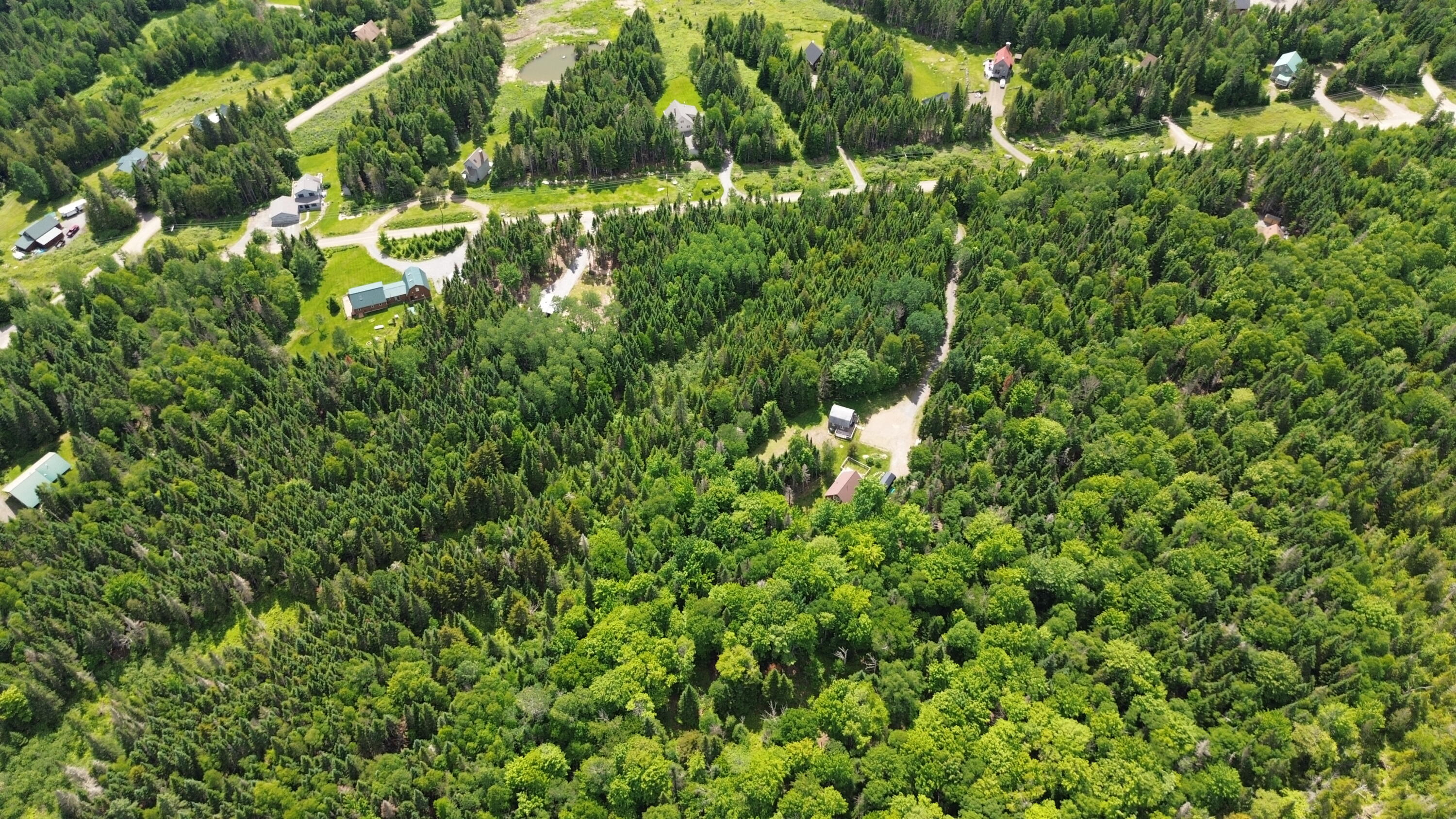175 Lynn Way Dallas Plt, ME 04970 - Photo 54 of 55 DJI_0203
