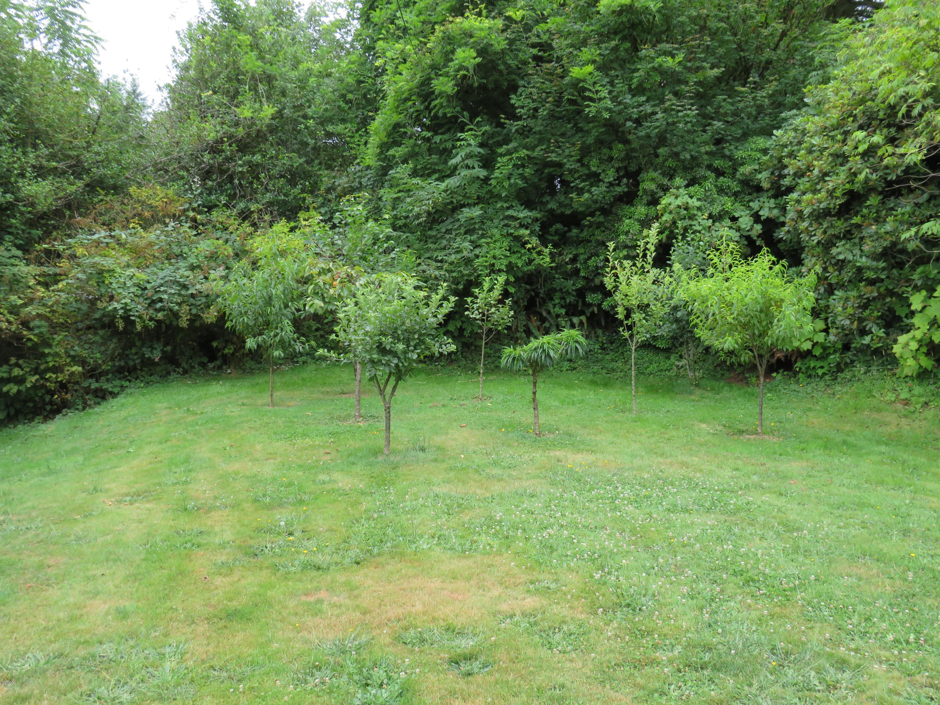 184 Olalla Road Toledo, OR 97391 - Photo 29 of 42 FruitTrees