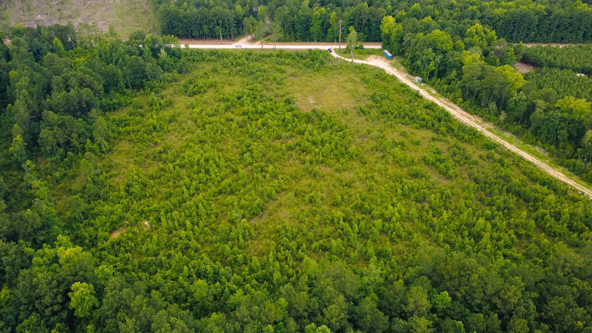 Lot B Fries Bay Road Loris, SC 29569 - Photo 4 of 6