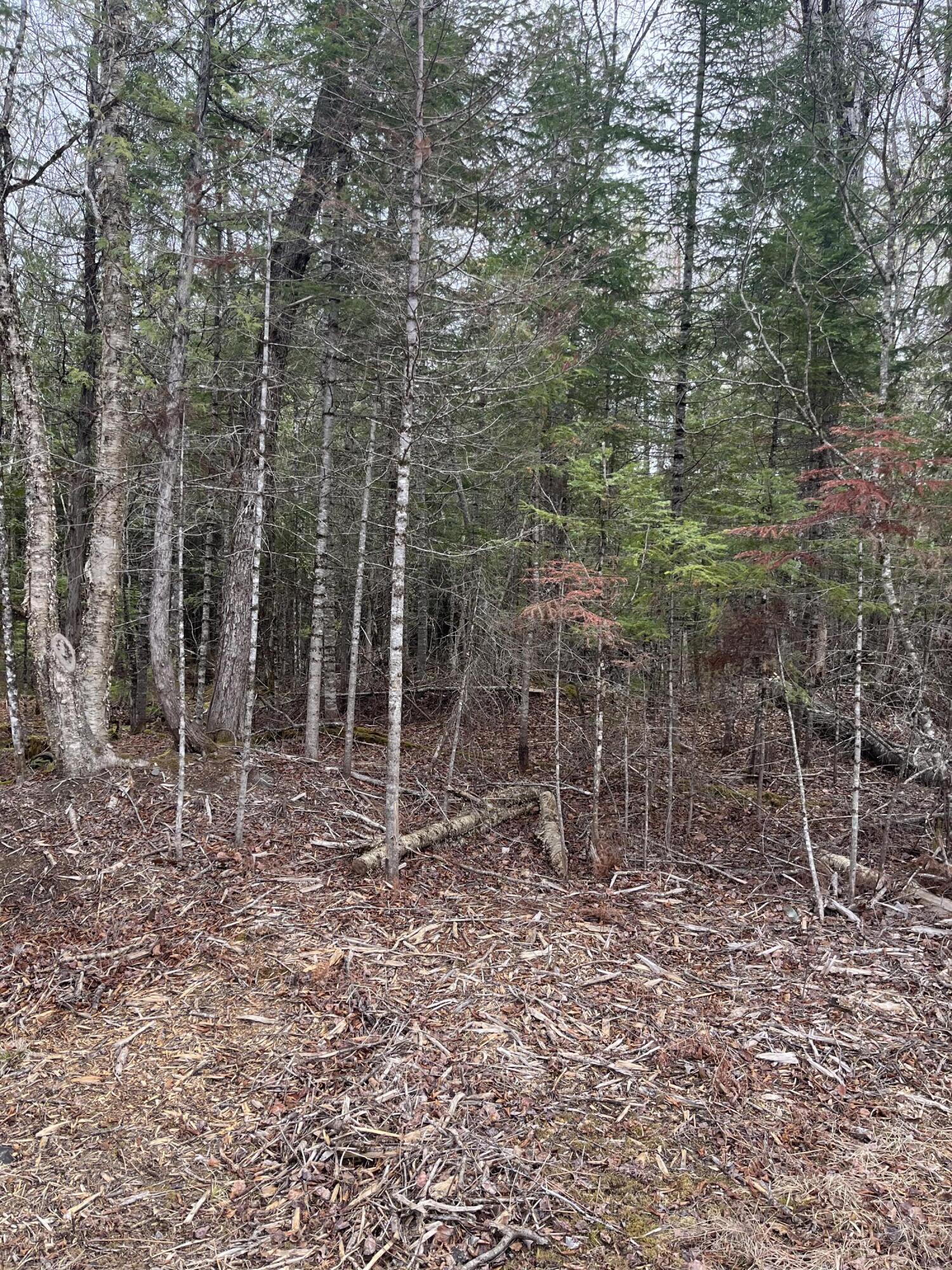 M6-l9 Boundary Road Orient, ME 04471 - Photo 4 of 6