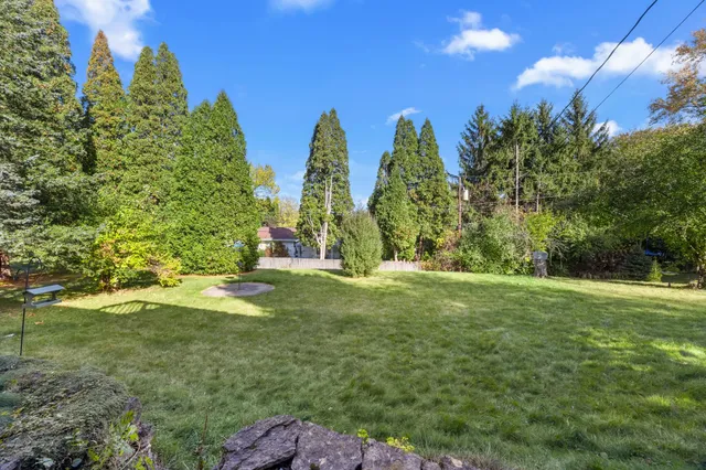 a view of a yard with large trees