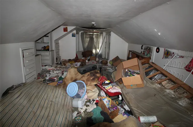 a front view of house with a garden