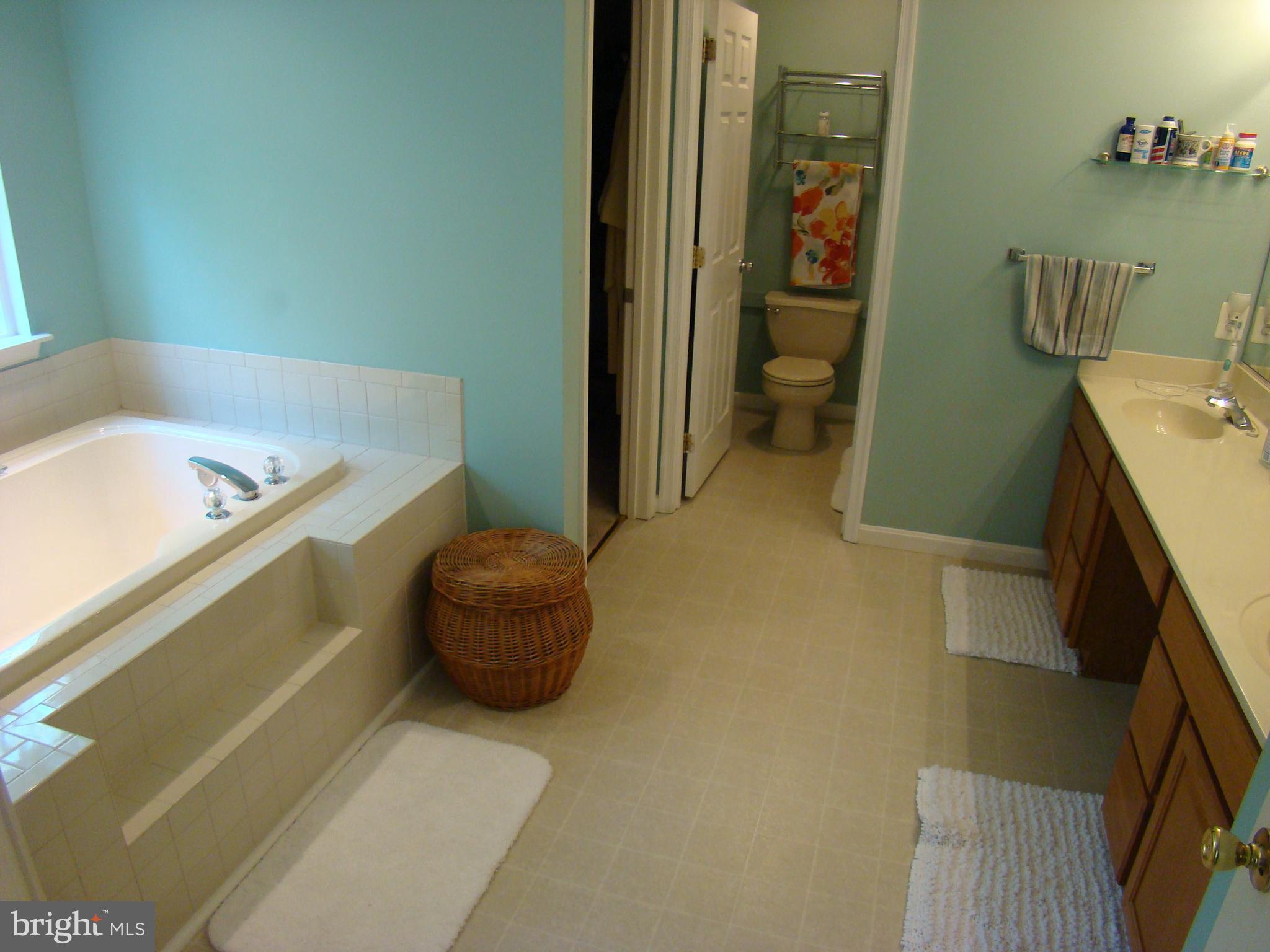 1700 Rudolph Lane Lusby, MD 20657 - Photo 14 of 30 Mstr Bath w BIG soaking tub