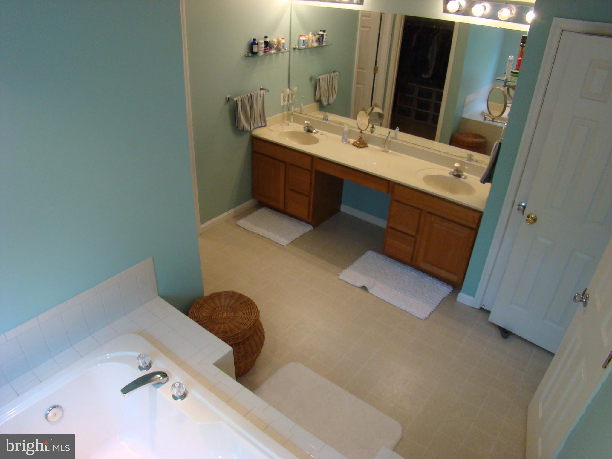 1700 Rudolph Lane Lusby, MD 20657 - Photo 15 of 30 Mstr B w dual sink vanity