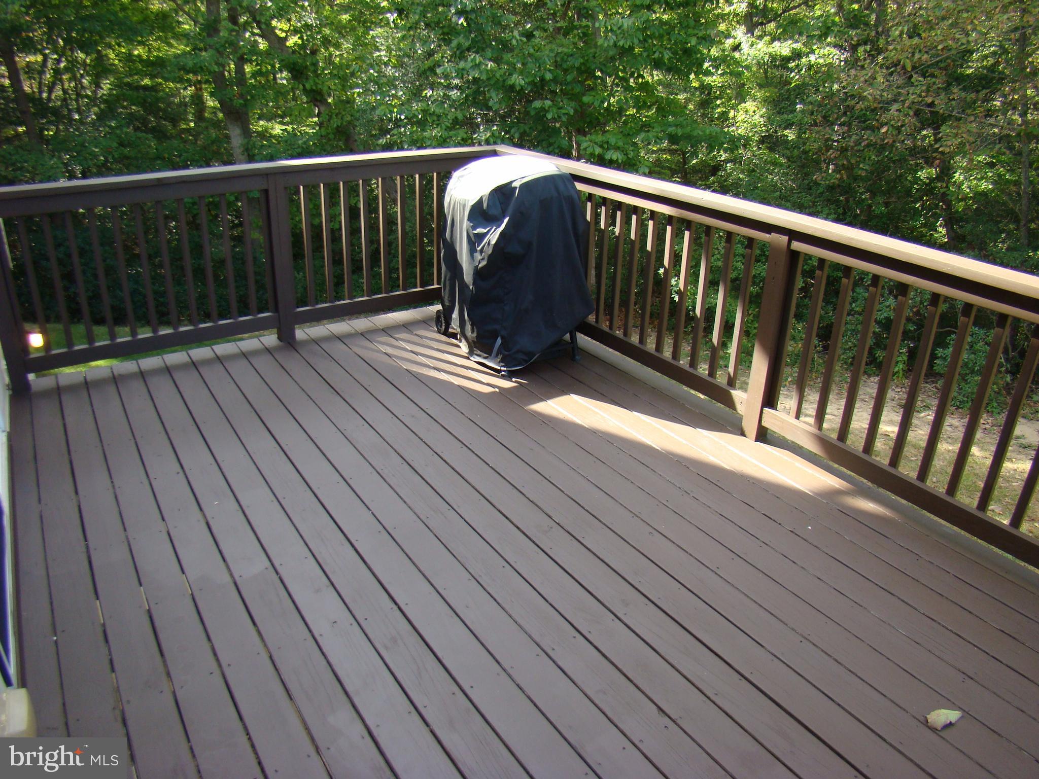 1700 Rudolph Lane Lusby, MD 20657 - Photo 25 of 30 Deck off kitchen (Rear)