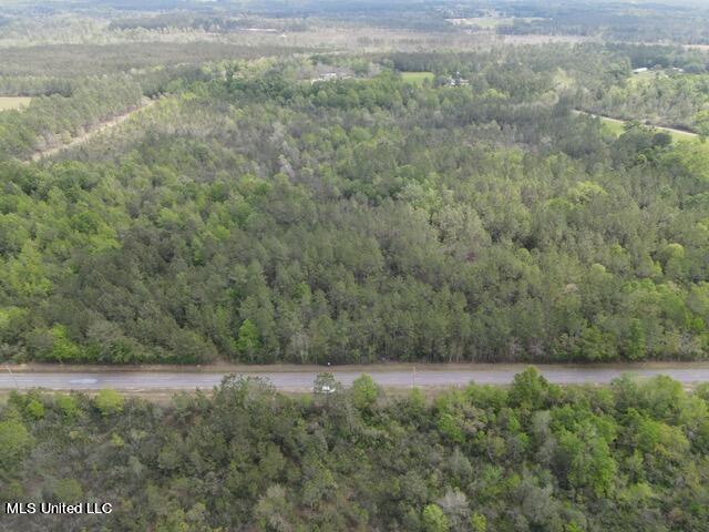 7 Deerwood Road Kiln, MS 39556 - Photo 6 of 10 DW Photo 6