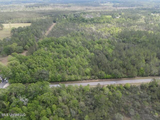 7 Deerwood Road Kiln, MS 39556 - Photo 7 of 10 DW Photo 7
