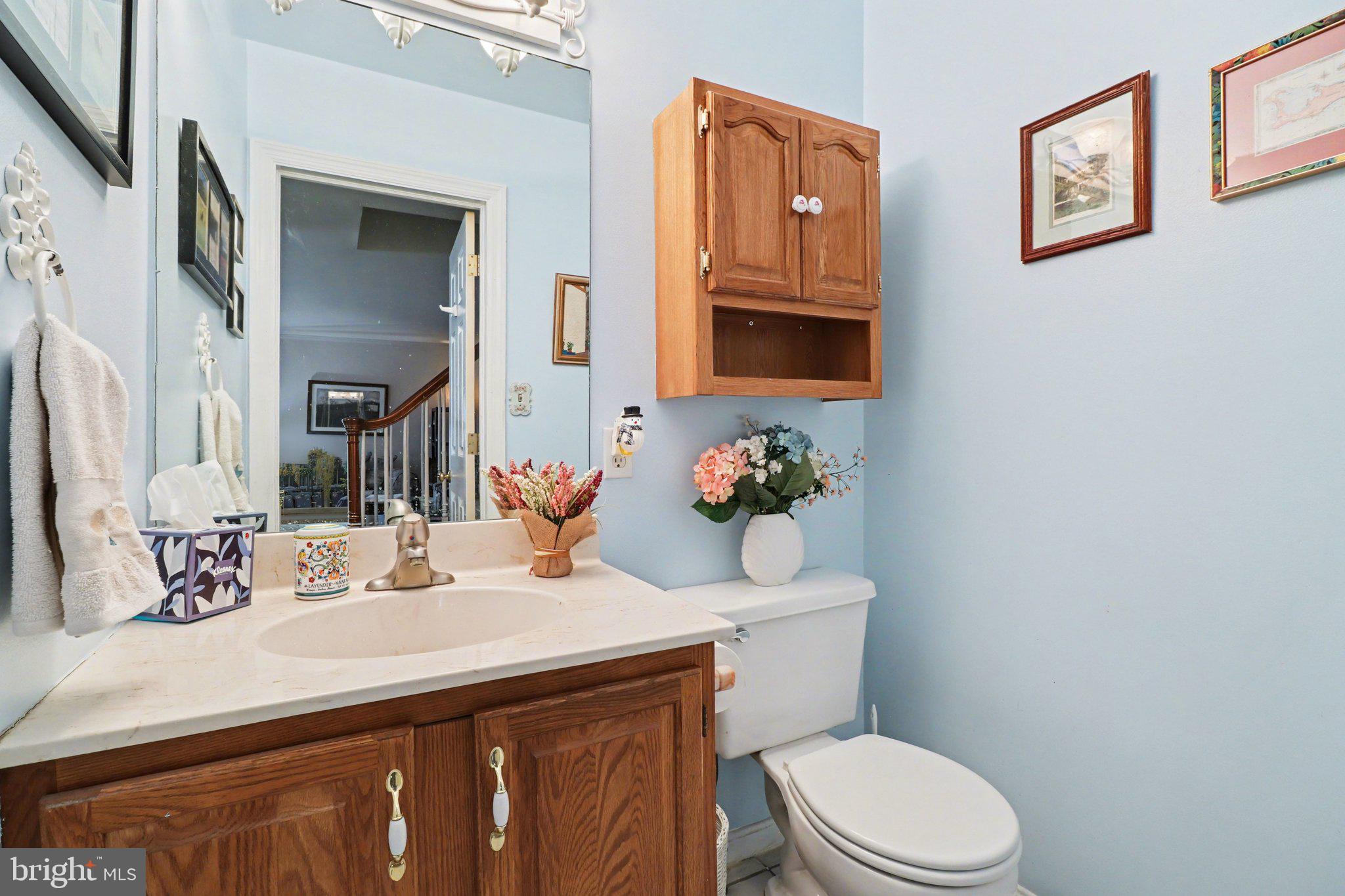 1014 Shadowstone Drive Lancaster, PA 17603 - Photo 39 of 54 a bathroom with a sink a toilet and mirror
