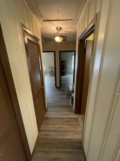 397 Lindsey-Goff Road Lenox, GA 31637 - Photo 11 of 20 Gallery Image 11