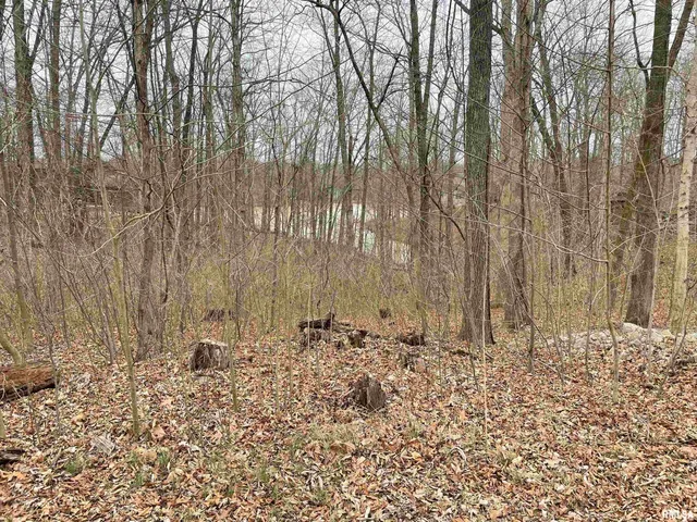 $36,500 | 0 Iroquois Trail, Murphysboro, IL 62966