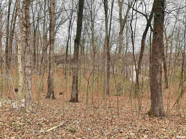 $36,500 | 0 Iroquois Trail, Murphysboro, IL 62966