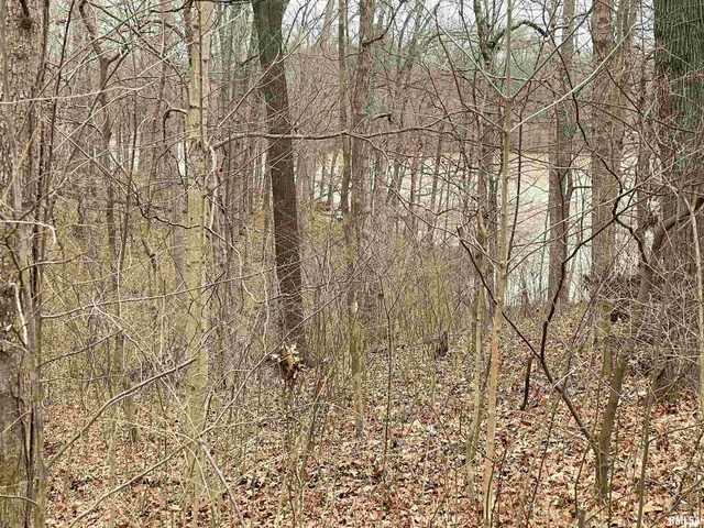 $36,500 | 0 Iroquois Trail, Murphysboro, IL 62966