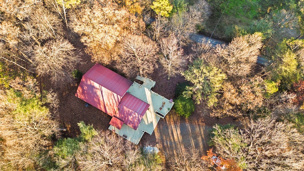 101 Harper Valley Road Ellijay, GA 30540 - Photo 50 of 58