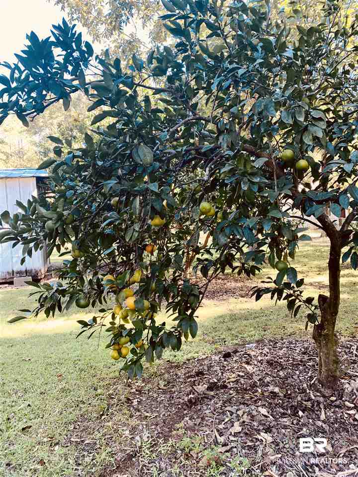 22480 County Road 48 Robertsdale, AL 36567 - Photo 29 of 30
