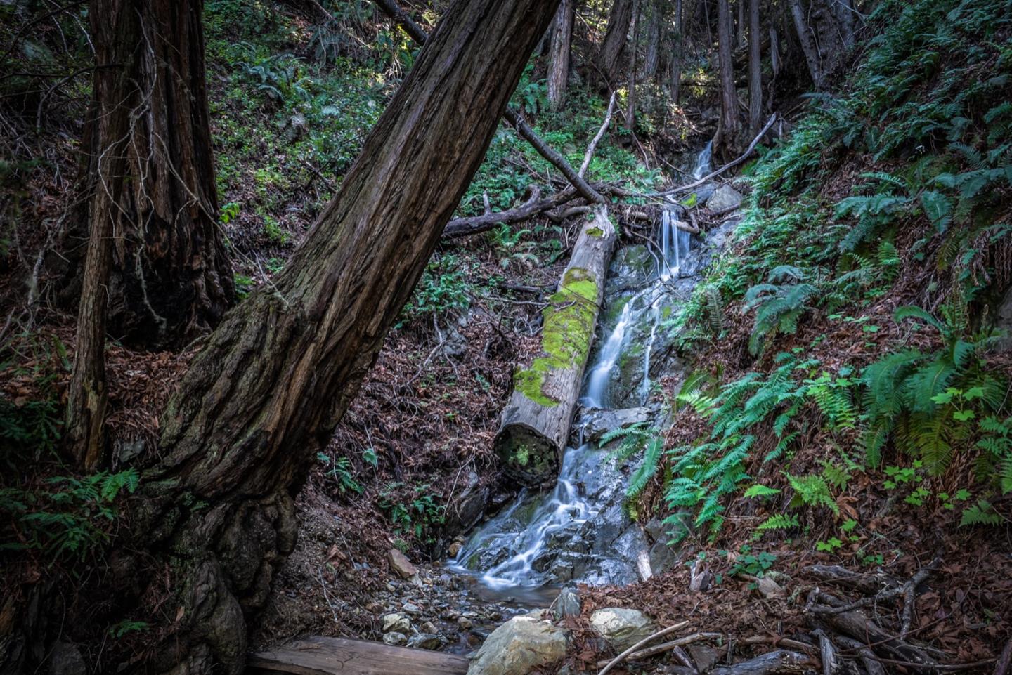 29141 Plasket Ridge Road Big Sur, CA 93920 - Photo 41 of 48 a view of a yard