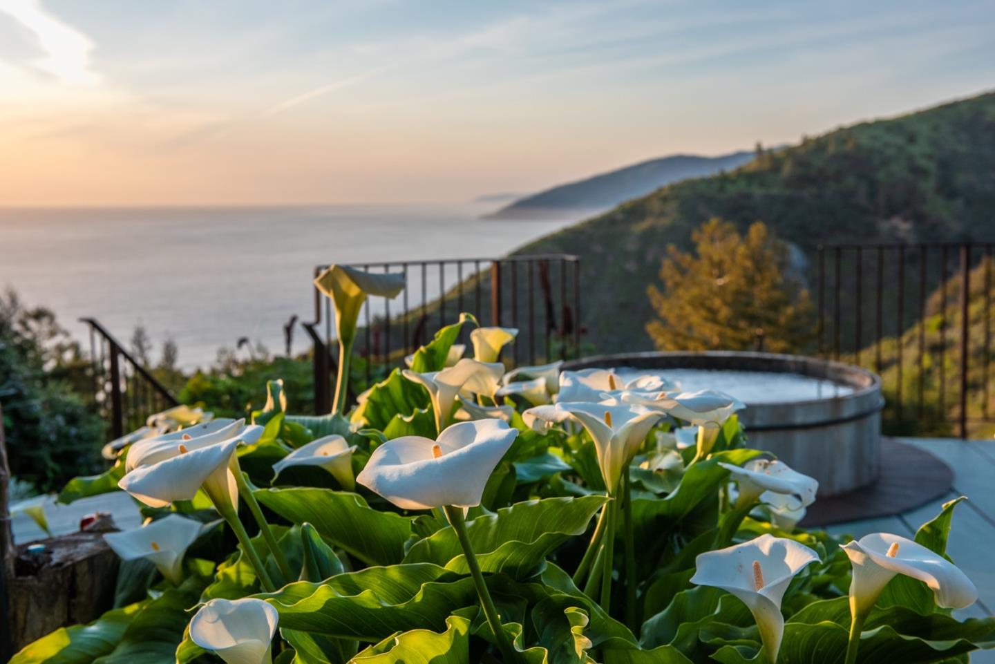 29141 Plasket Ridge Road Big Sur, CA 93920 - Photo 8 of 48 a backyard of a house with lots of green space