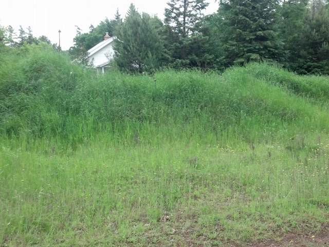 Near West Timber Drive Rhinelander, WI 54501 - Photo 2 of 20 Gallery Image 2