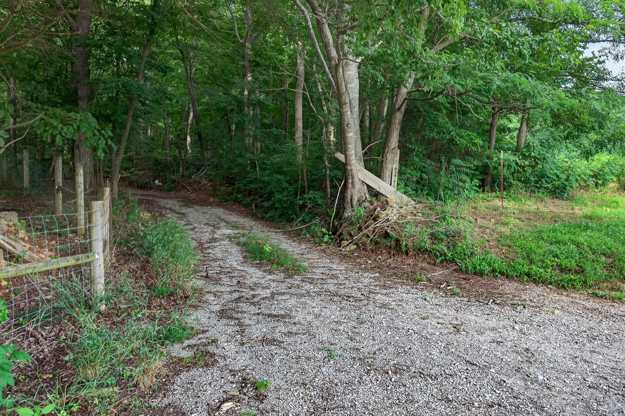 0 Moore Cove Road Sparta, TN 38583 - Photo 19 of 19