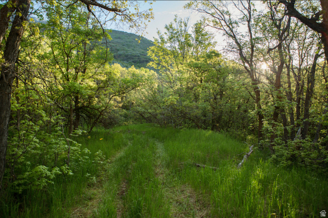 2631 North Mountain Pk Road, Unit 56 Alpine, UT 84004 - Photo 6 of 7 View of wooded area