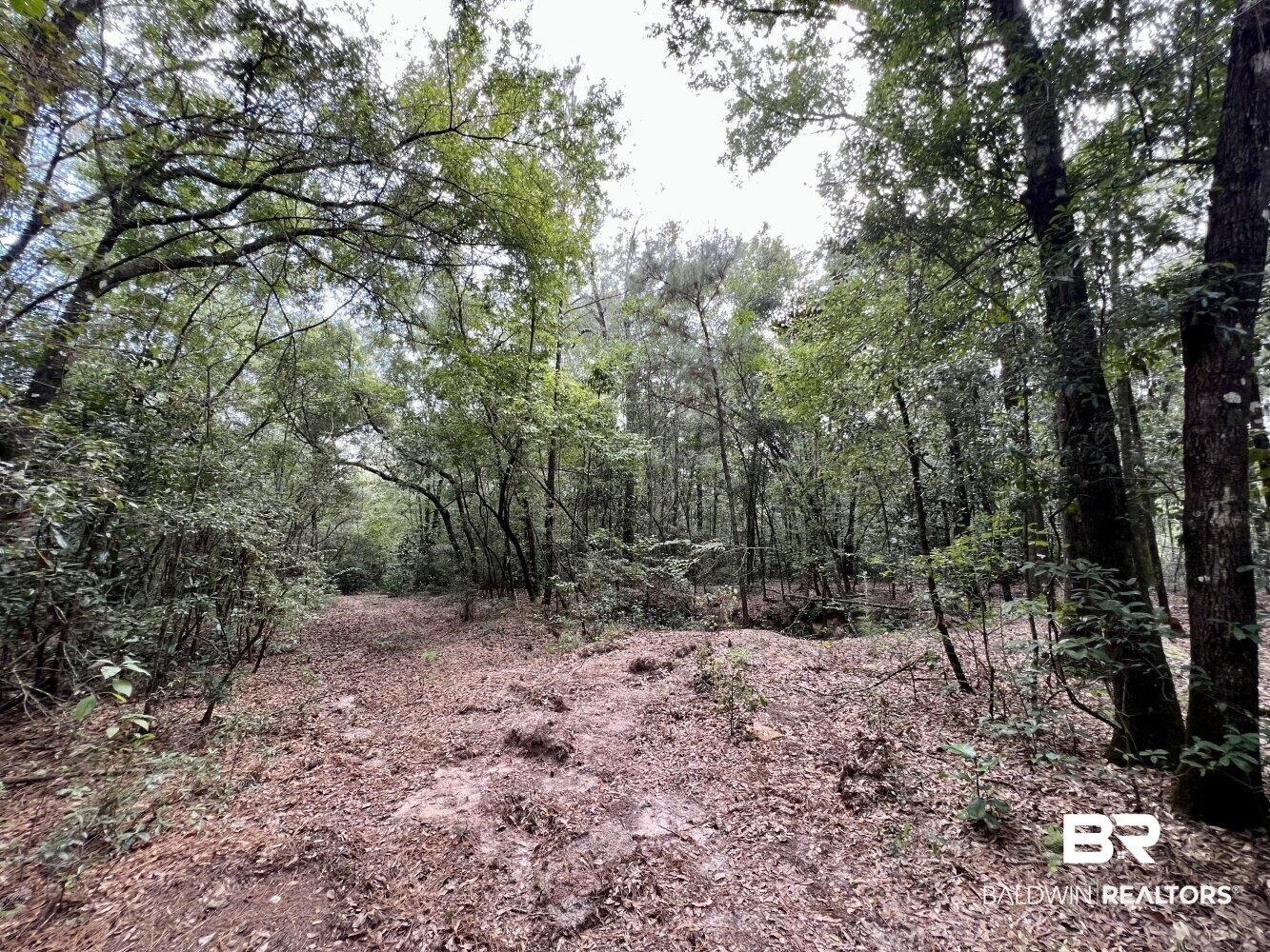 0 Bear Fork Road Mobile, AL 36618 - Photo 42 of 50