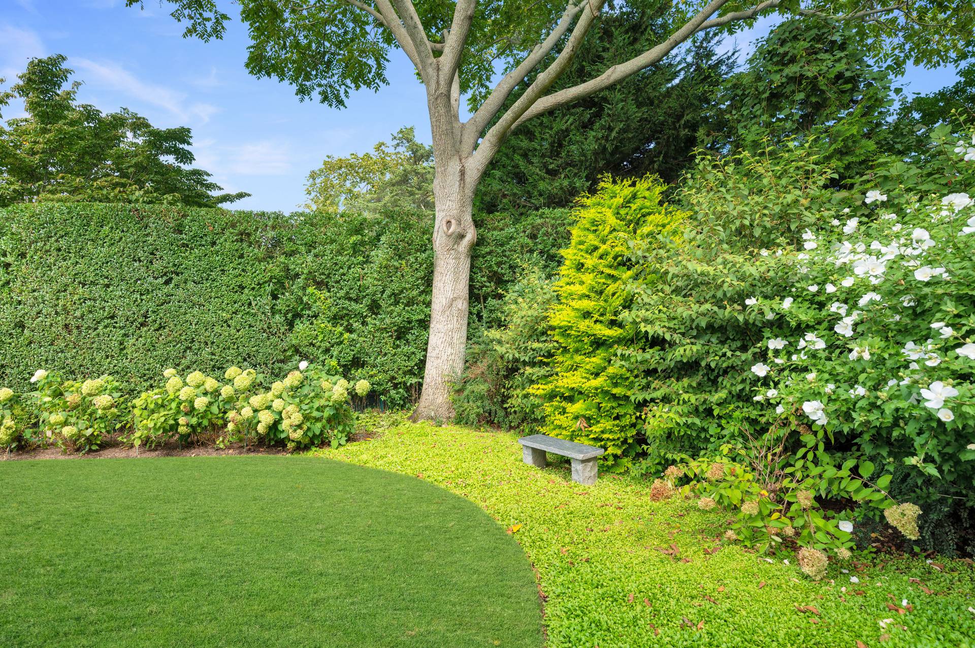 Undisclosed Address Bridgehampton, NY 11932 - Photo 35 of 35 a view of yard with green space