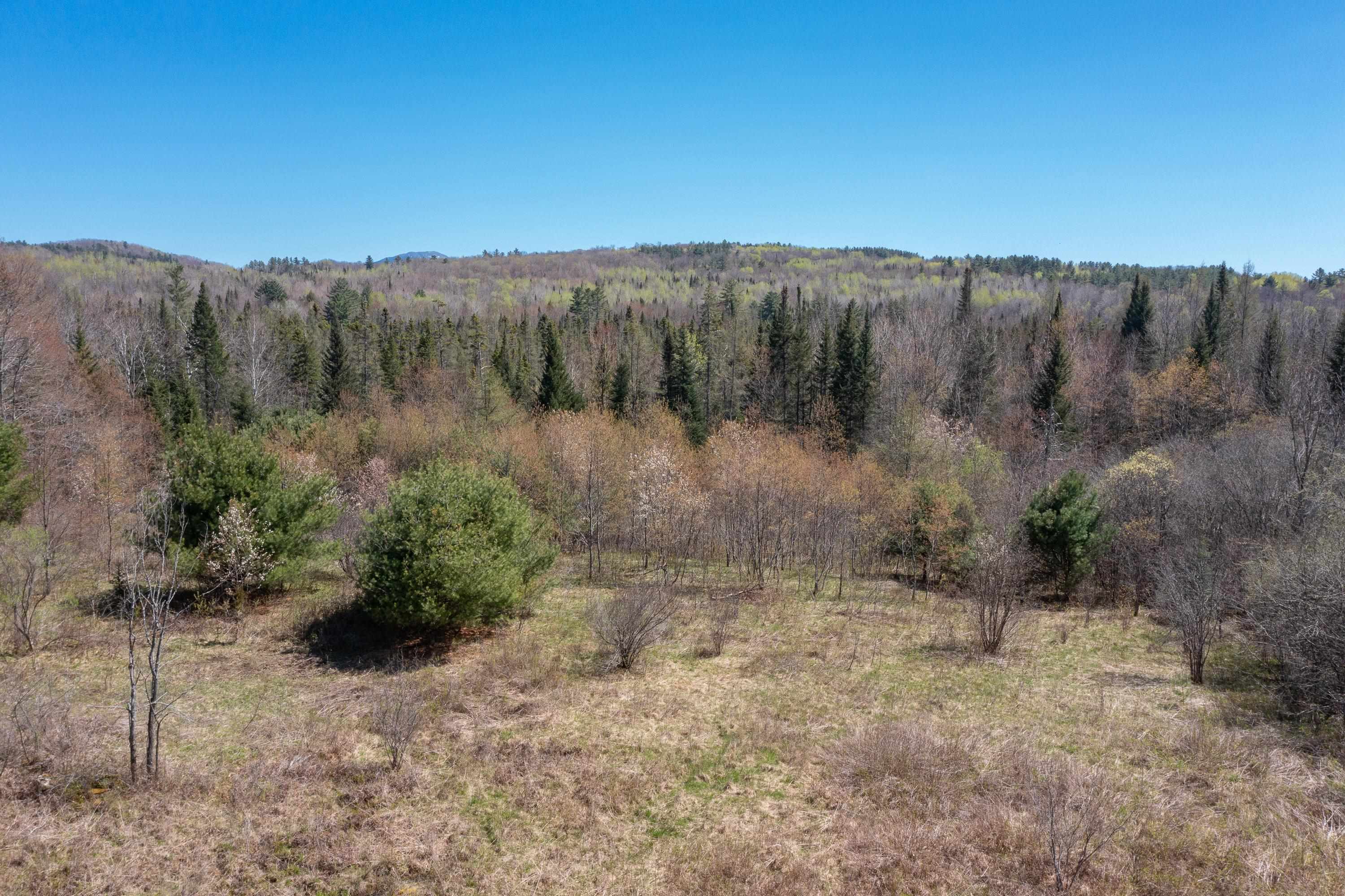 0 Mt Eustis Road Littleton, NH 03561 - Photo 8 of 10