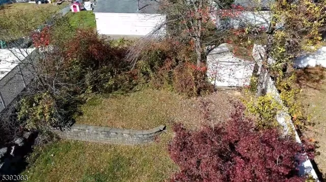 a view of a tree in a yard