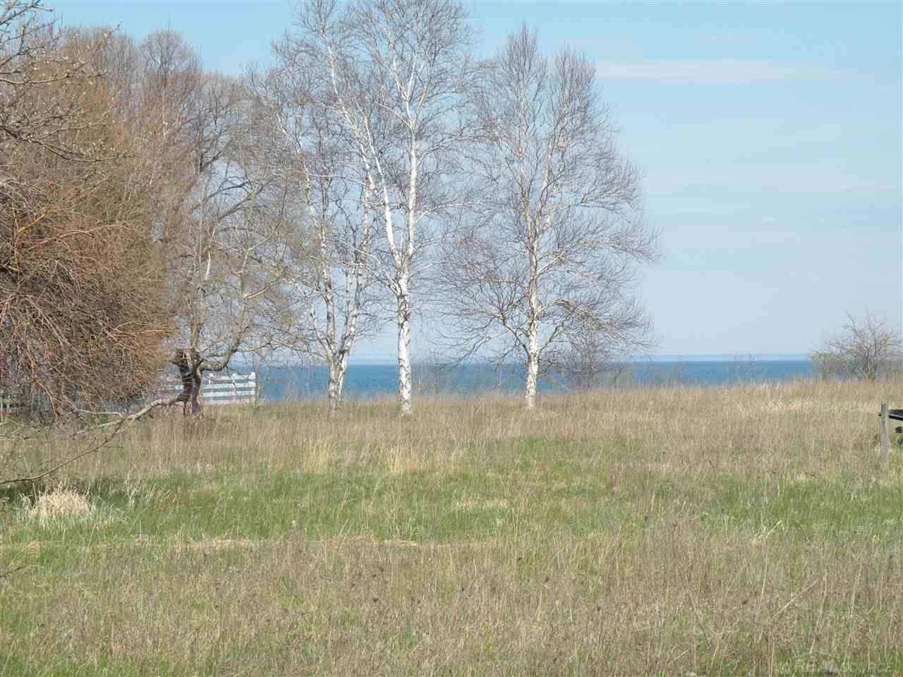 Vl Lakeshore Road Deckerville, MI 48427 - Photo 2 of 5
