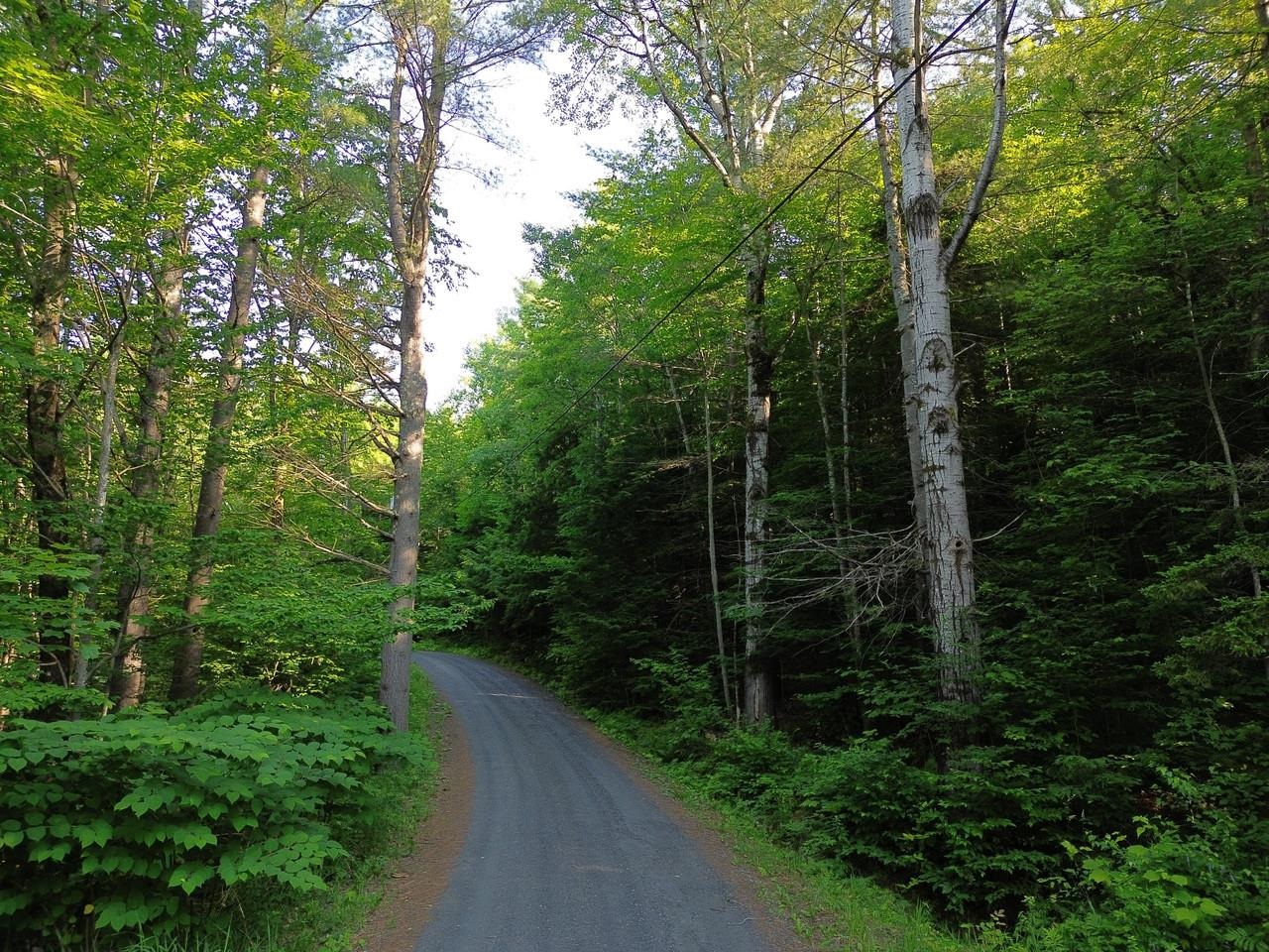 0 Old Carriage Road Waitsfield, VT 05673 - Photo 15 of 24