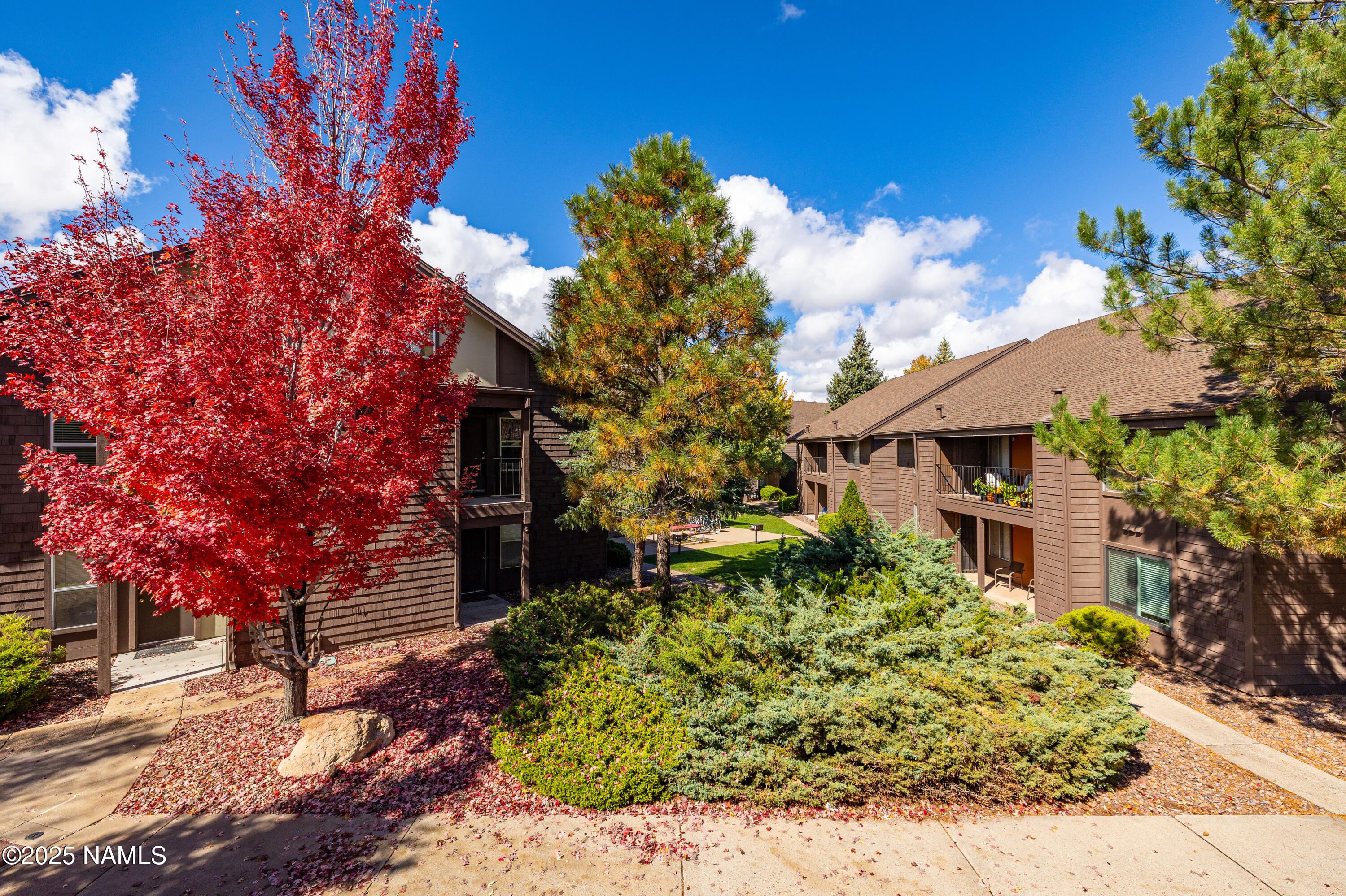 1200 South Riordan Ranch Street, Unit 98 Flagstaff, AZ 86001 - Photo 1 of 30 CP-14