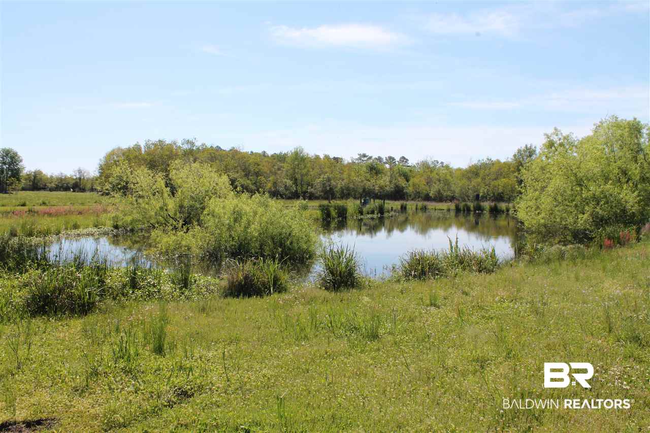 16634 Baldwin County Road 10 Foley, AL 36535 - Photo 15 of 22