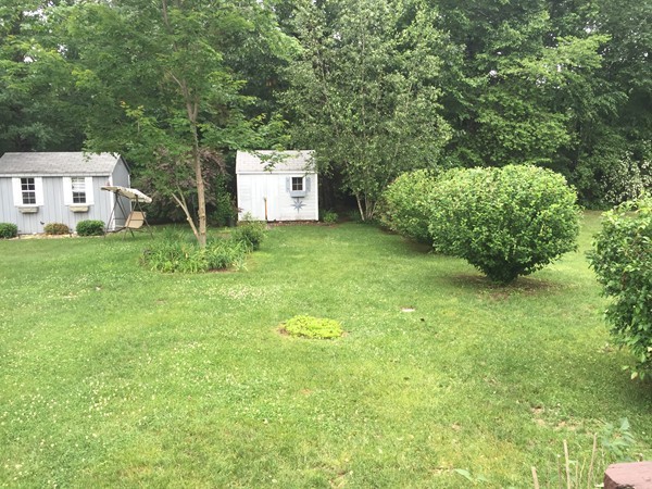610 County Road, Unit 4 Holyoke, MA 01040 - Photo 20 of 21 a view of a big yard with plants and large trees