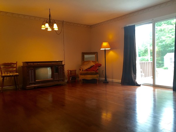 610 County Road, Unit 4 Holyoke, MA 01040 - Photo 8 of 21 a view of a livingroom with furniture wooden floor and a fireplace