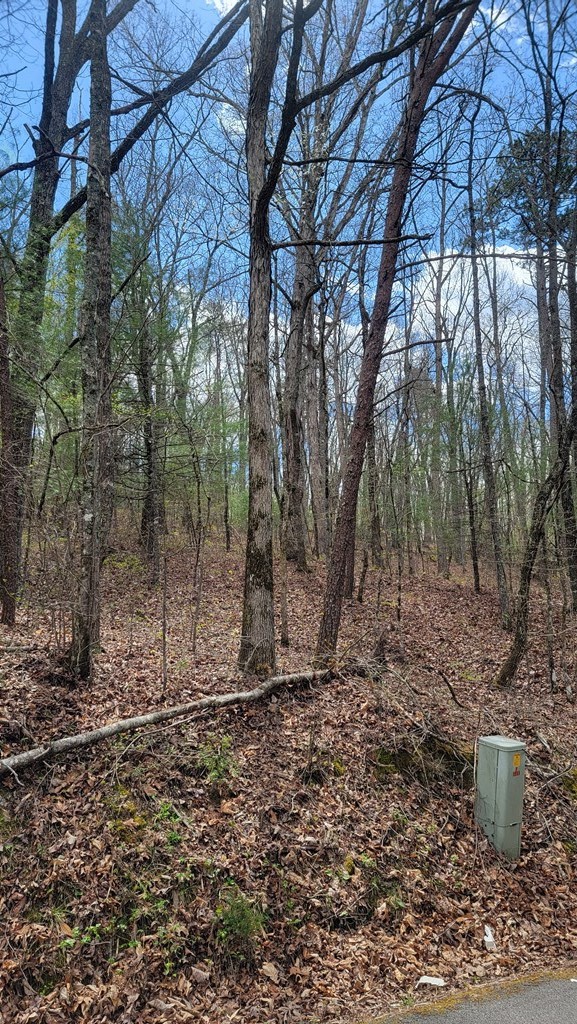 0 Eads Bluff Road Northwest Georgetown, TN 37336 - Photo 2 of 4 a view of a forest with trees