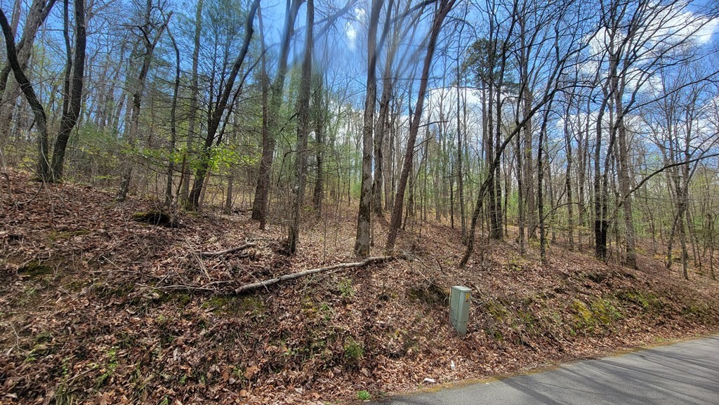 0 Eads Bluff Road Northwest Georgetown, TN 37336 - Photo 3 of 4 a view of a yard with trees