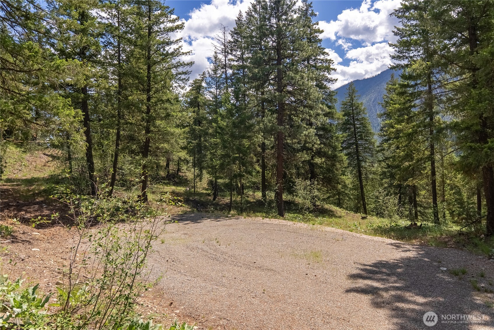 6 Homestead Road Winthrop, WA 98862 - Photo 28 of 40 a view of outdoor space and trees